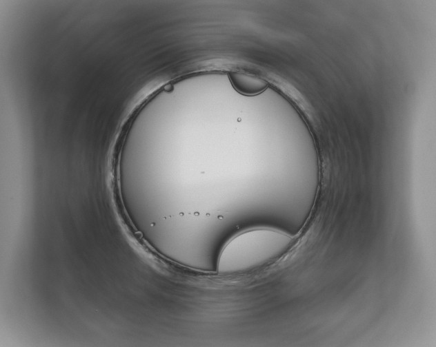 X0000111881042200907231423
