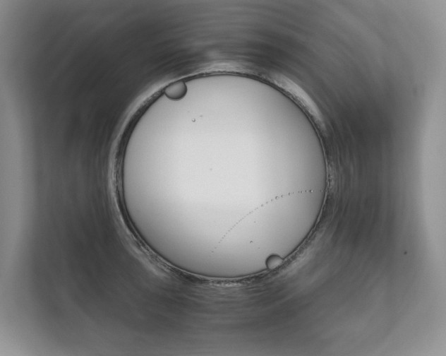 X0000111881043200907231423