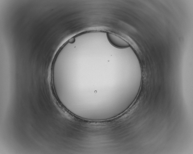 X0000111881044200907231423