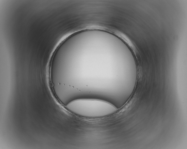 X0000111881048200907231423