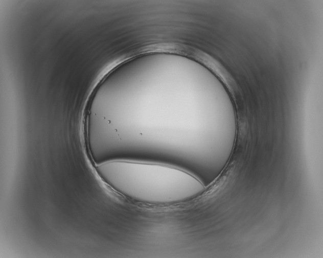 X0000111881050200907231423