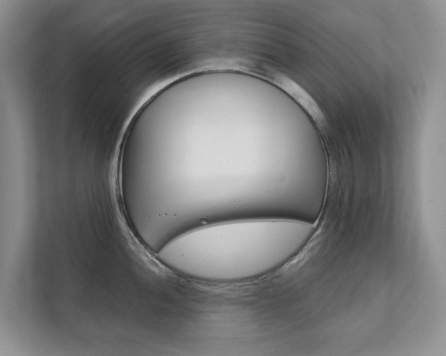X0000111881052200907231423