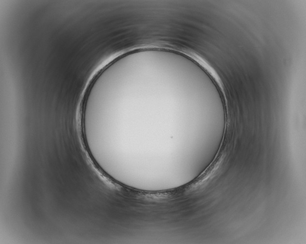 X0000111881053200907231423