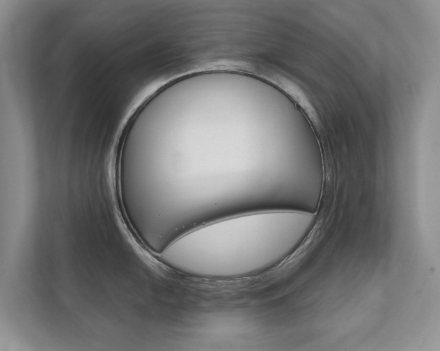 X0000111881054200907231423