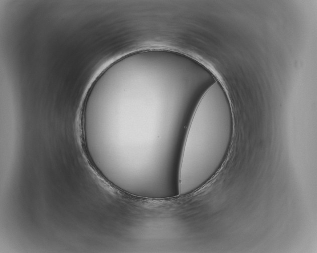 X0000111881056200907231423
