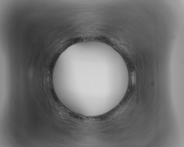 X0000111881059200907231422