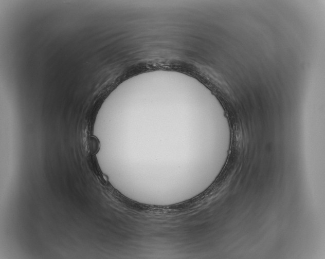 X0000111881060200907231422