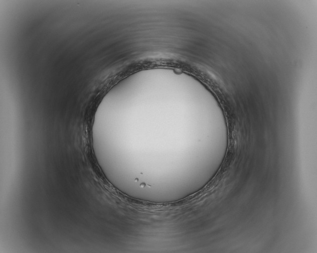 X0000111881062200907231422