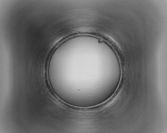 X0000111881065200907231422