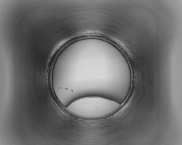 X0000111881066200907231422