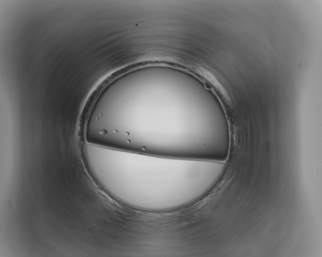 X0000111881068200907231422
