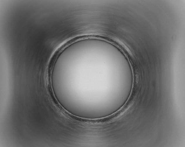 X0000111881069200907231422