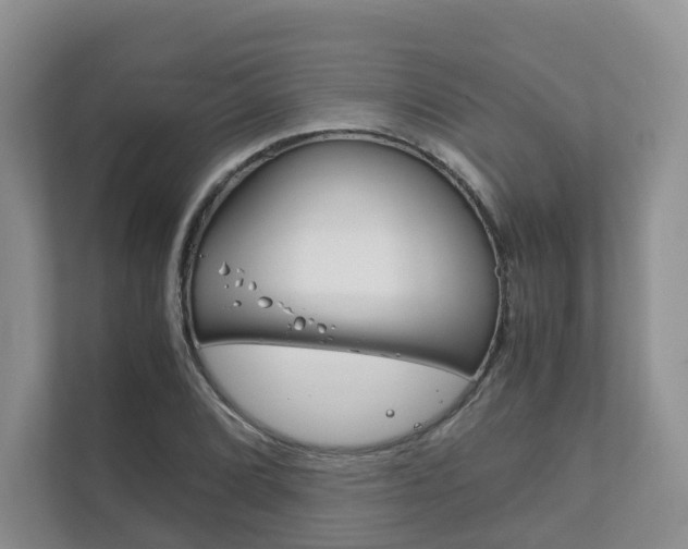 X0000111881072200907231422