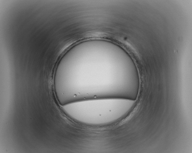 X0000111881073200907231422