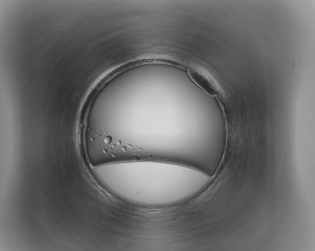 X0000111881076200907231422