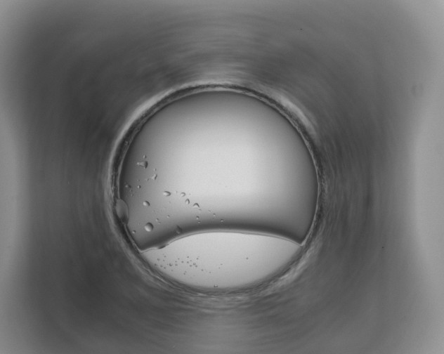 X0000111881077200907231422