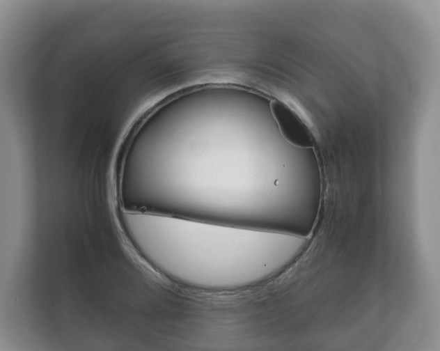 X0000111881080200907231422