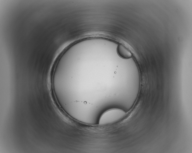 X0000111881082200907231422