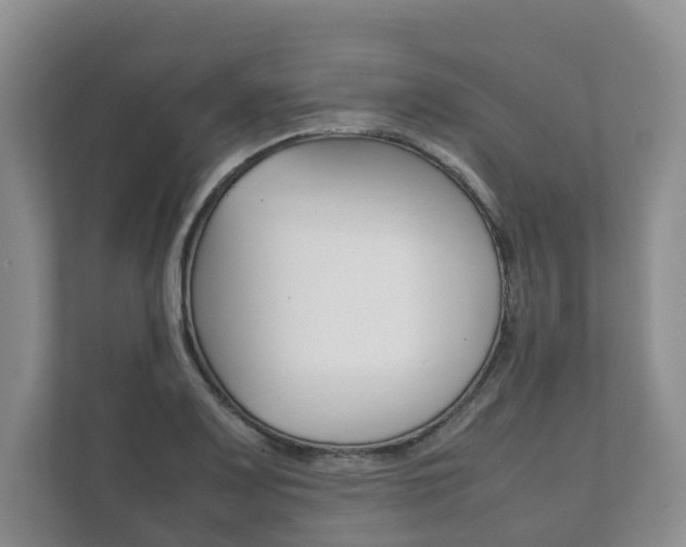 X0000111881083200907231422