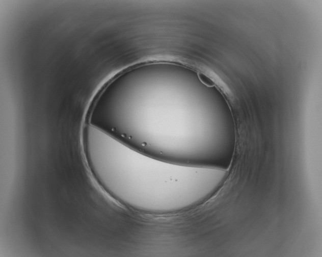 X0000111881084200907231422