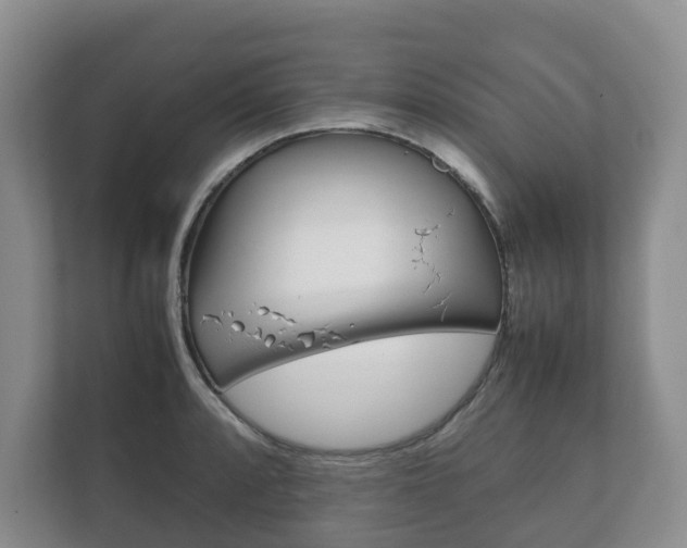 X0000111881088200907231422