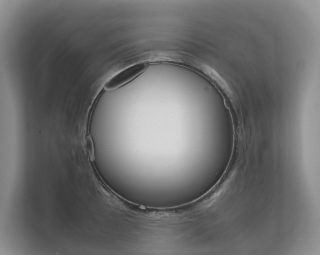 X0000111881089200907231422