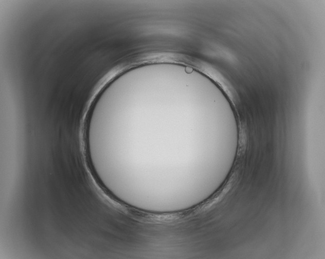 X0000111881090200907231422