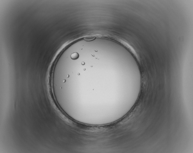 X0000111881091200907231422