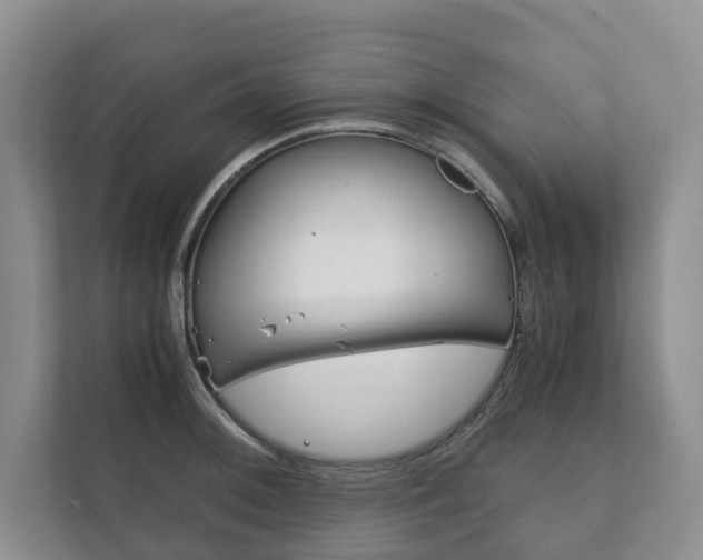 X0000111881092200907231422