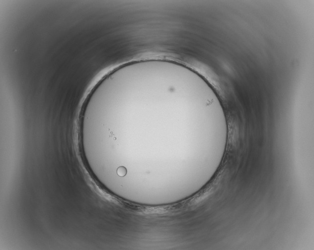 X0000111881094200907231422