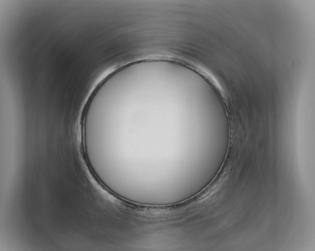 X0000111881095200907231422