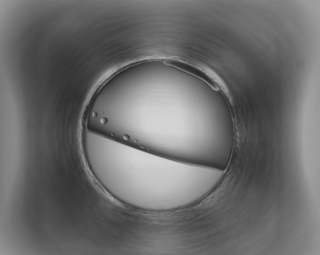 X0000111881096200907231422