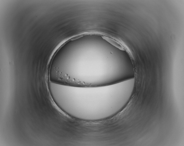 X0000111881100200907231422