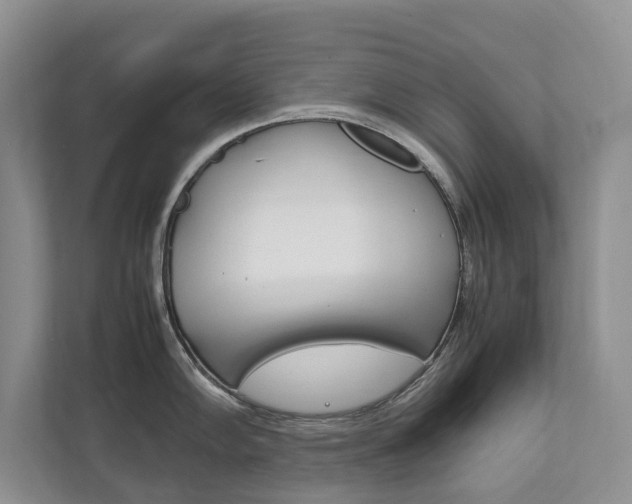 X0000111881102200907231422
