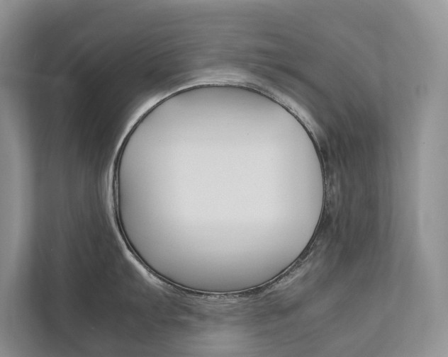 X0000111881103200907231422