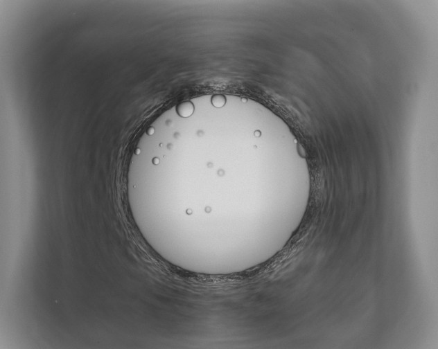 X0000111881105200907231421