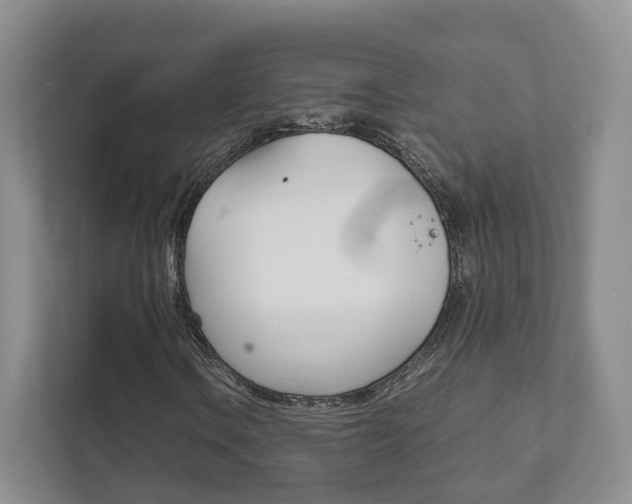 X0000111881106200907231421