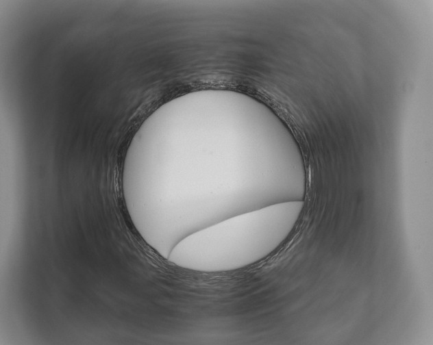 X0000111881107200907231421