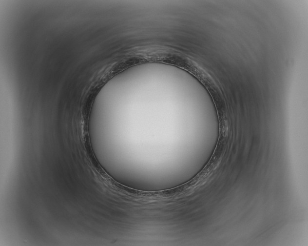 X0000111881108200907231421