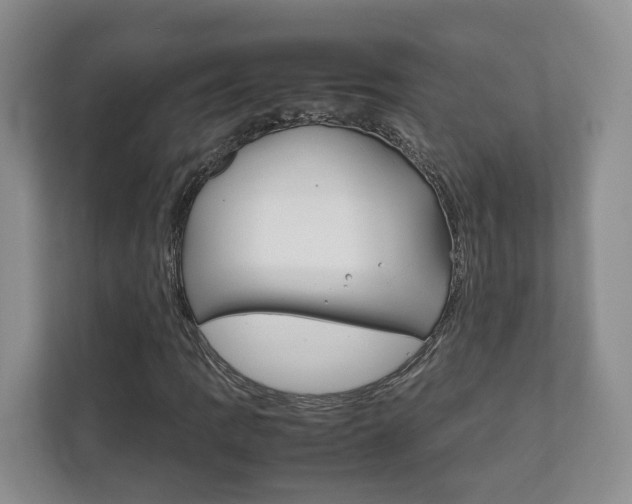 X0000111881109200907231421