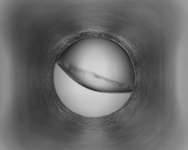X0000111881110200907231421