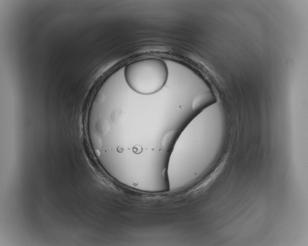X0000111881113200907231421