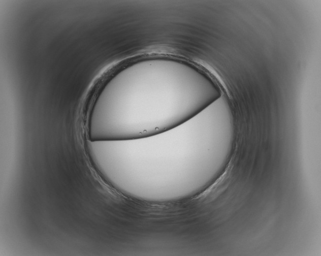 X0000111881115200907231421