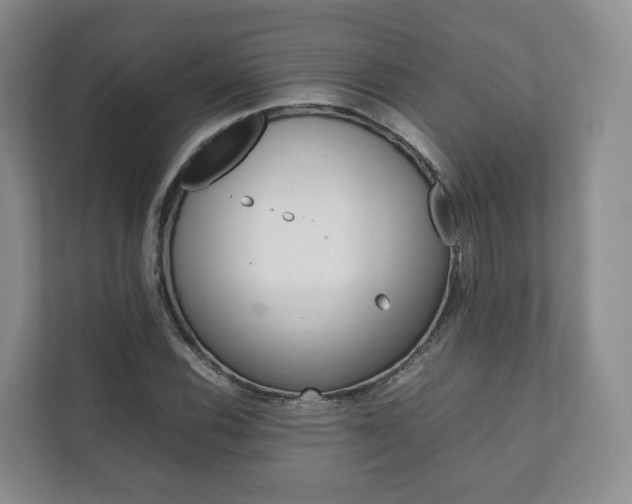 X0000111881116200907231421