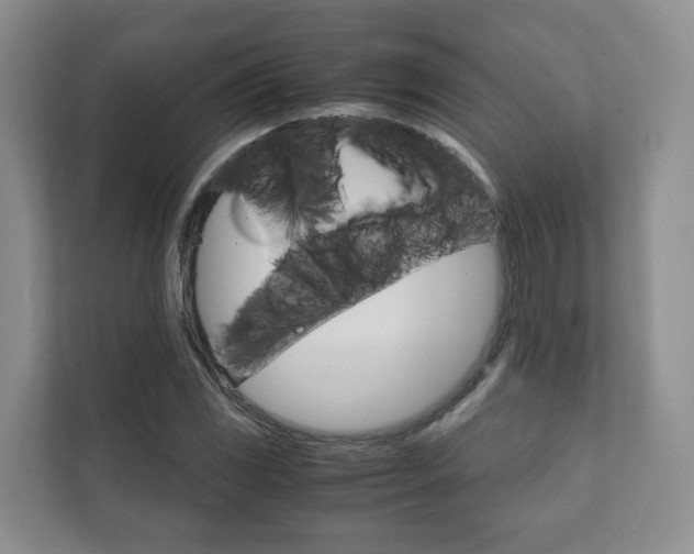 X0000111881117200907231421