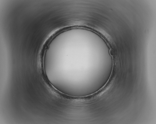 X0000111881118200907231421