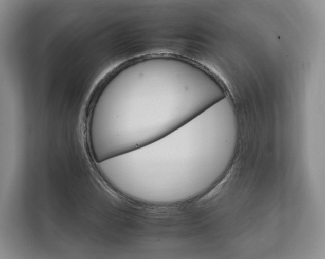 X0000111881119200907231421