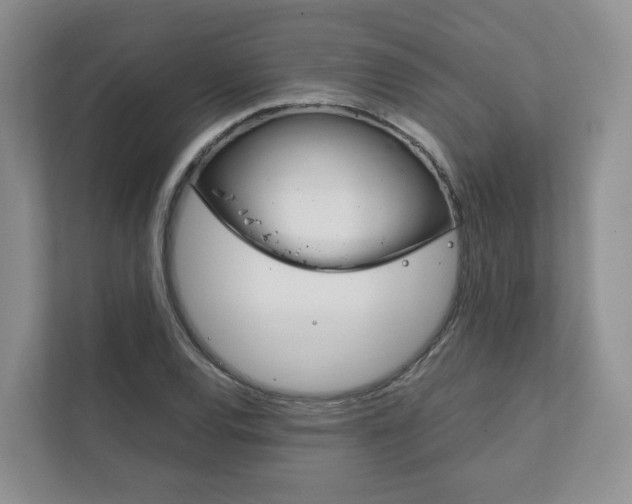 X0000111881120200907231421