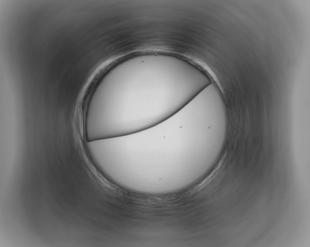 X0000111881123200907231421