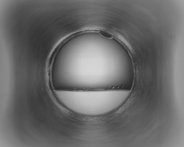 X0000111881124200907231421